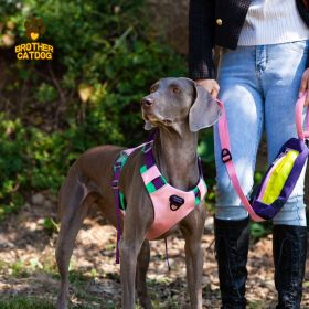 Pet chest sling Explosion-proof punch dog sling Dog leash dog rope pet supplies (select: AN6-purple-XL)